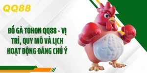 Bồ Gà Tohon QQ88 Vị Trí, Quy Mô Và Lịch Hoạt Động Đáng Chú Ý